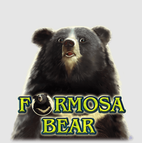 Formosa Bear, Apostas Online, Jogos Online, Ganhos, Promoções, Tablets, App